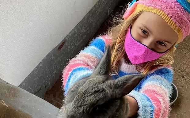 Cuidar dos bichinhos